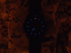 Luminox 3051 BO